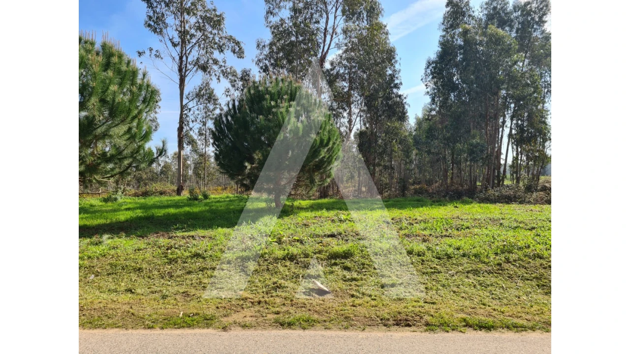 Terreno para Venda em Macinhata do Vouga Foto 15