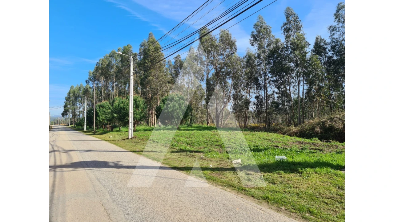 Terreno para Venda em Macinhata do Vouga Foto 18