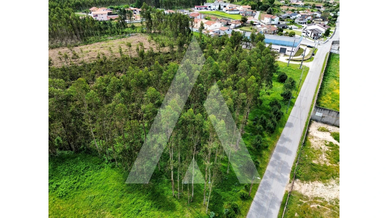 Terreno para Venda em Macinhata do Vouga Foto 2