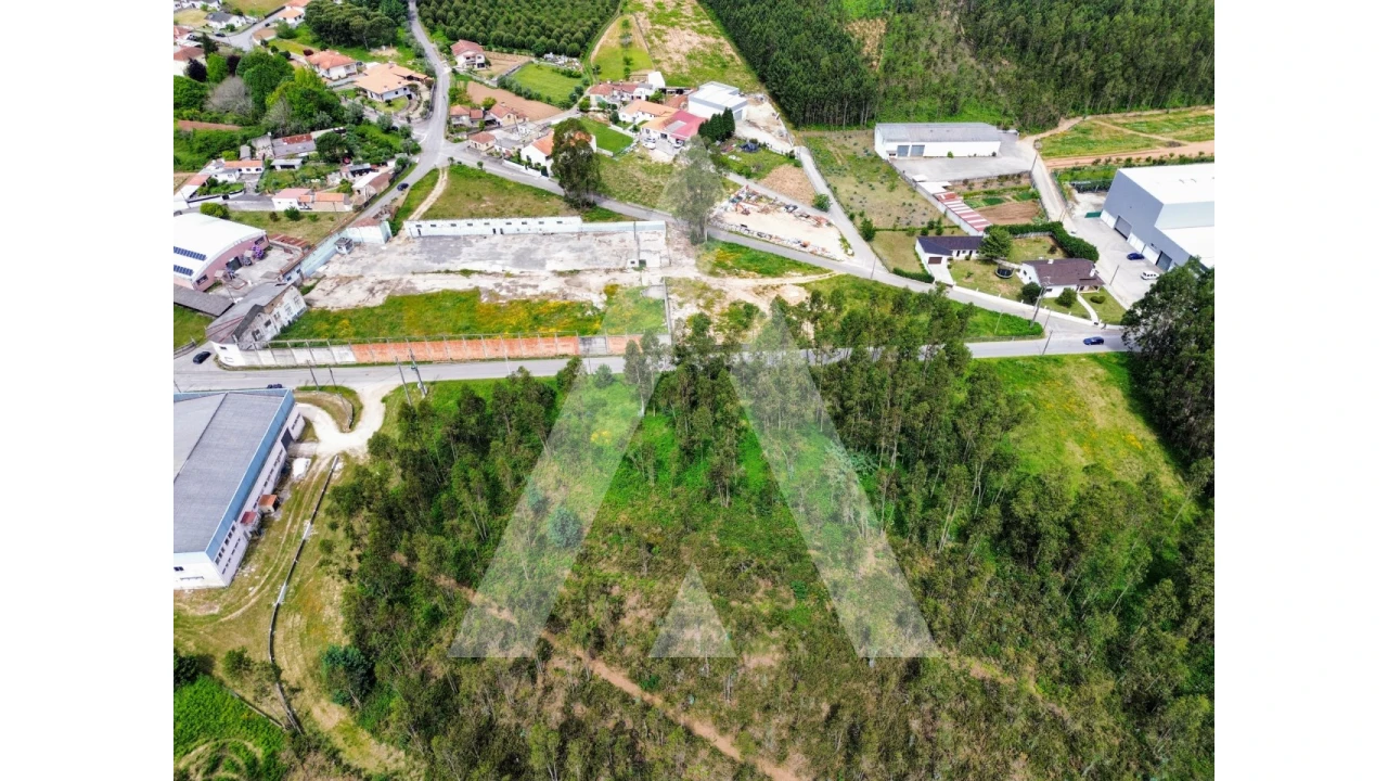 Terreno para Venda em Macinhata do Vouga Foto 4