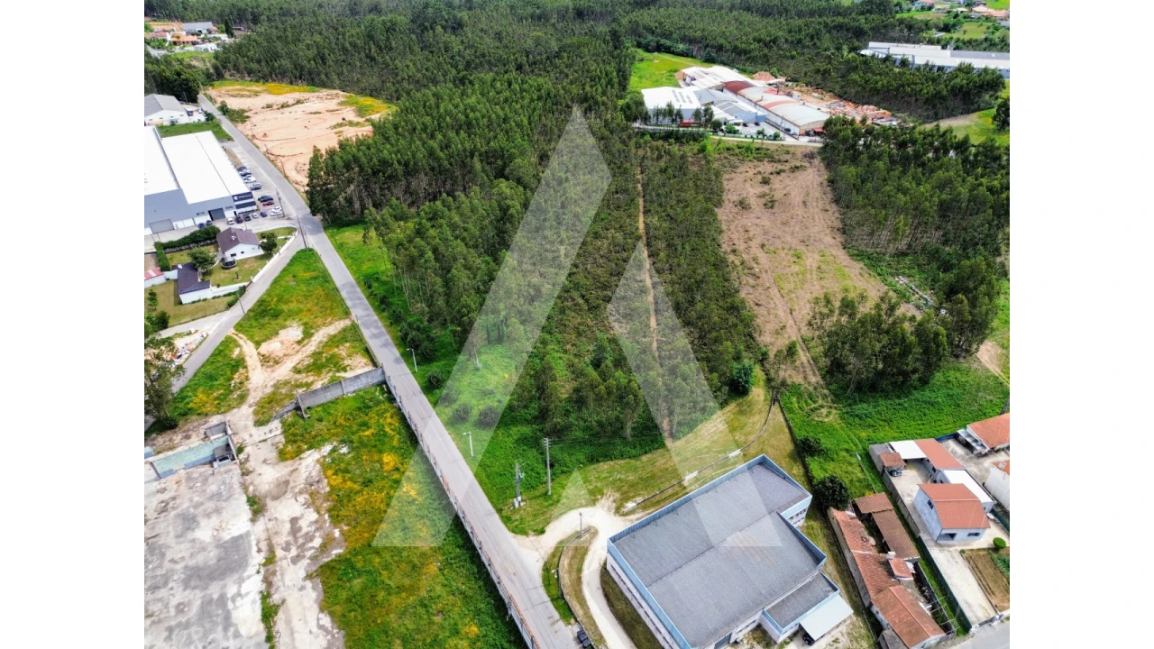 Terreno para Venda em Macinhata do Vouga Foto 8