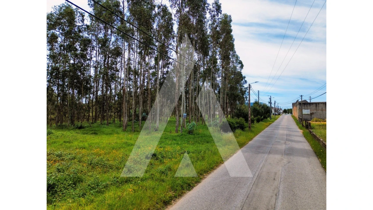 Terreno para Venda em Macinhata do Vouga Foto 14