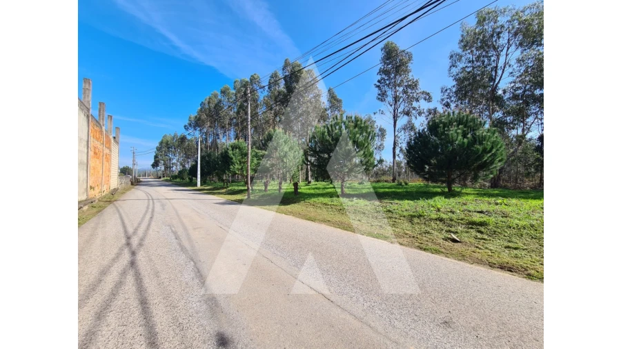 Terreno para Venda em Macinhata do Vouga Foto 10