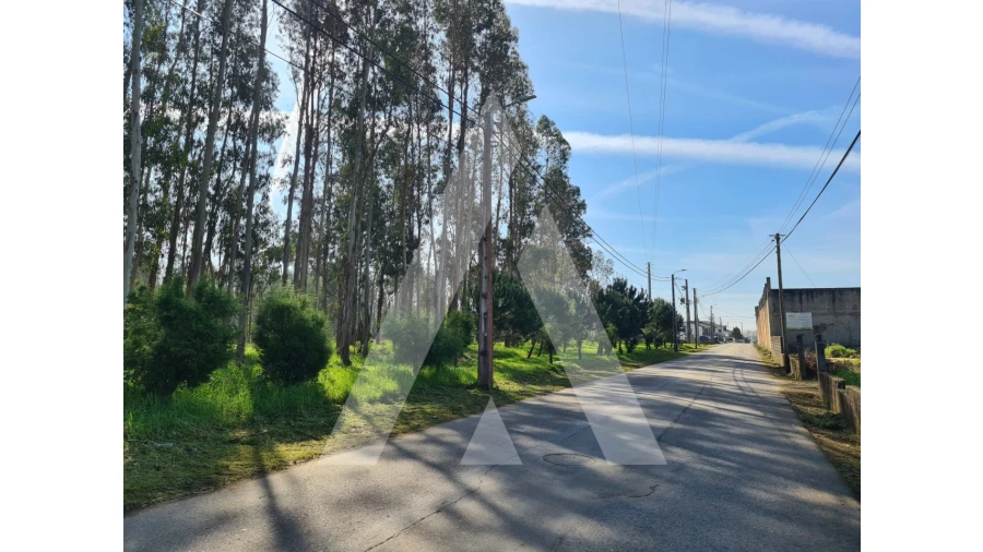 Terreno para Venda em Macinhata do Vouga Foto 11