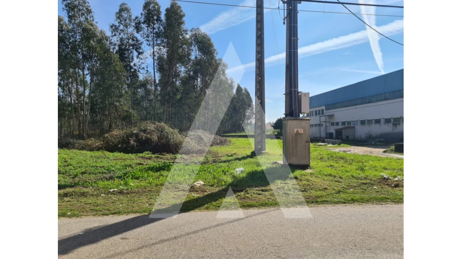 Terreno para Venda em Macinhata do Vouga Foto 17