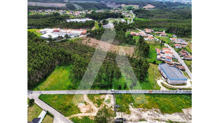 Terreno para Venda em Macinhata do Vouga Foto 1