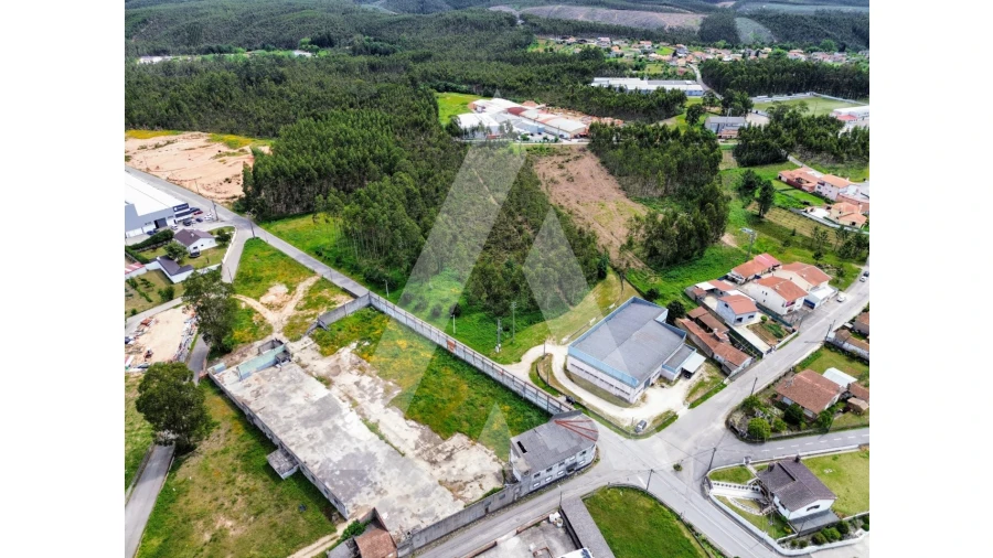 Terreno para Venda em Macinhata do Vouga Foto 3