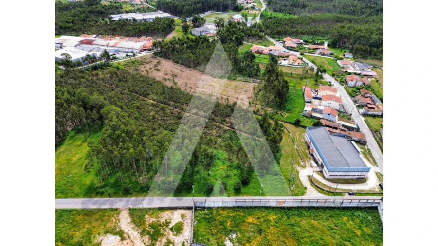 Terreno para Venda em Macinhata do Vouga Foto 7
