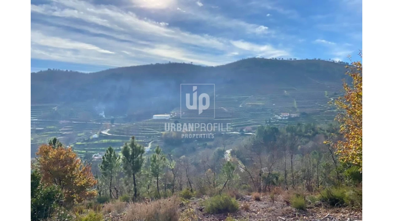 Quinta T11 para Venda em Fundão, Valverde, Donas, A. Joanes, A. Nova Cabo Foto 3