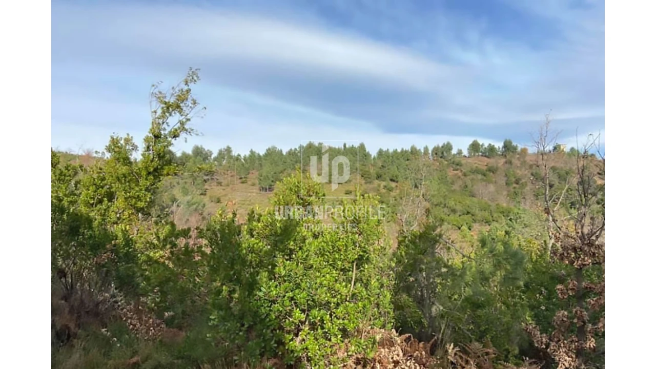 Quinta T11 para Venda em Fundão, Valverde, Donas, A. Joanes, A. Nova Cabo Foto 6
