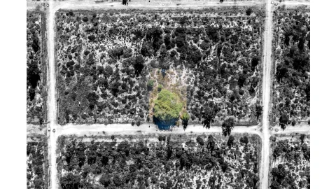 Terreno para Venda em Quinta do Conde
