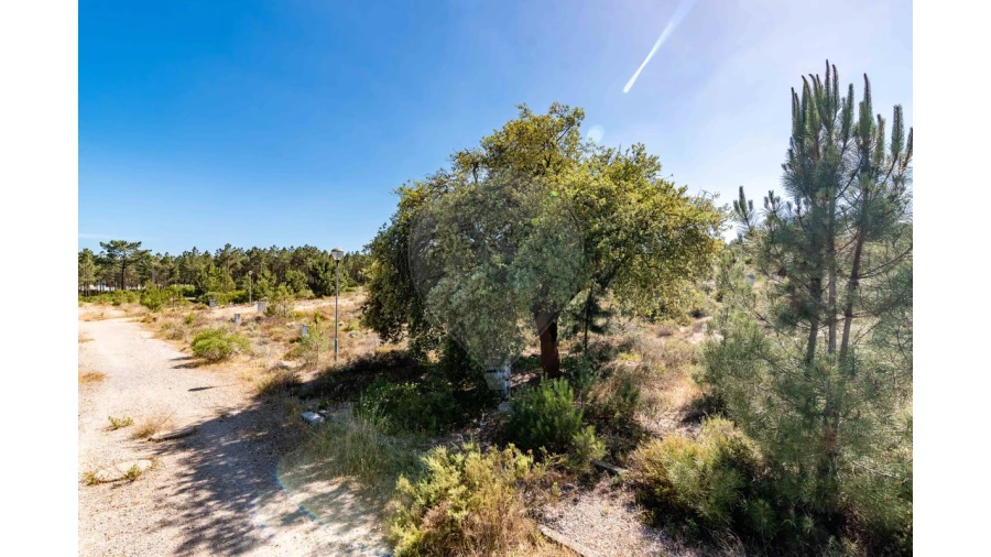Terreno para Venda em Quinta do Conde Foto 15