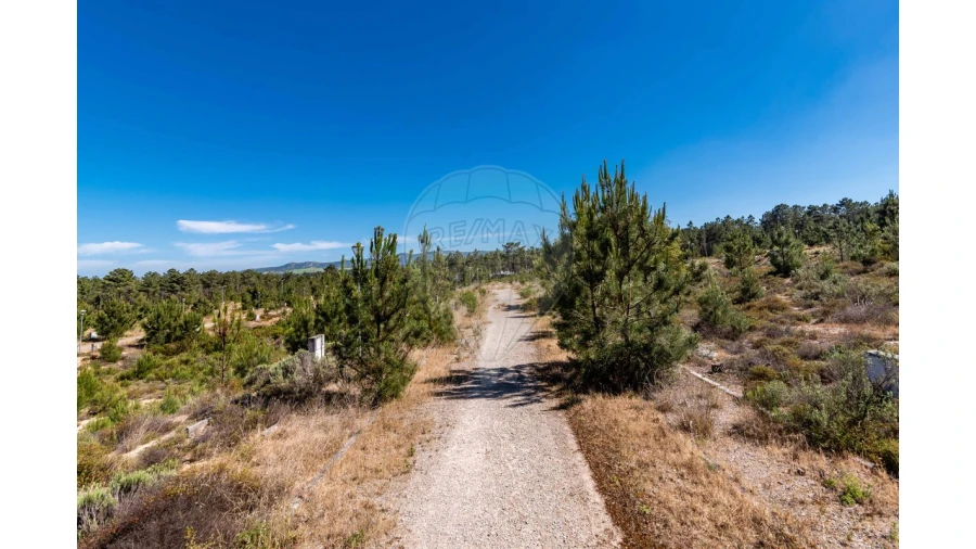 Terreno para Venda em Quinta do Conde Foto 13