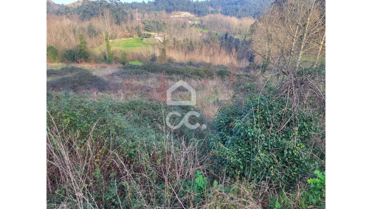 Terreno para Venda em Silvares (São Martinho) Foto 23