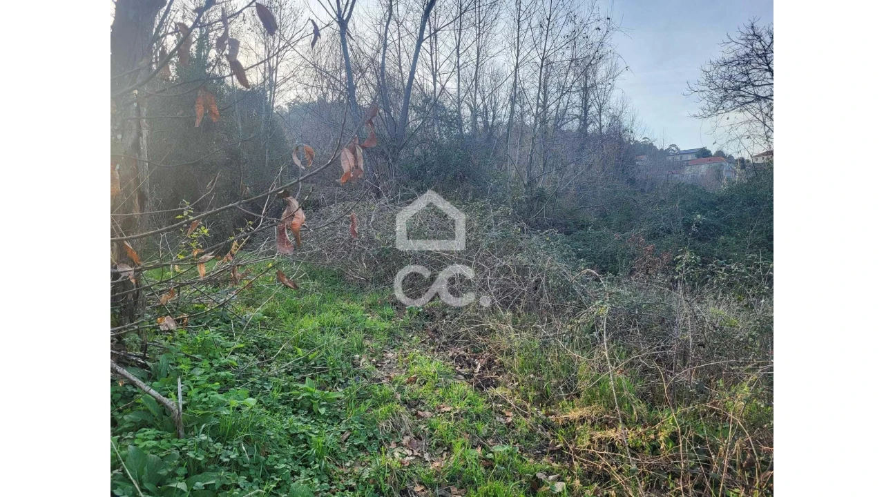 Terreno para Venda em Silvares (São Martinho) Foto 5