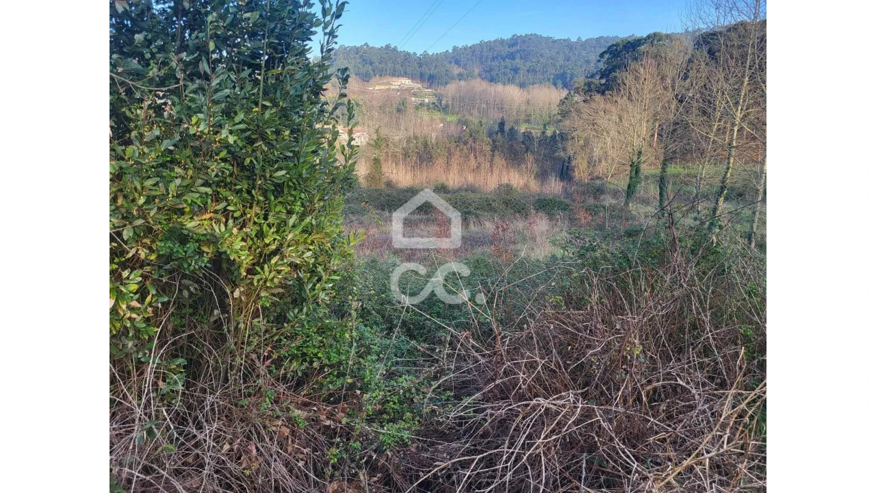 Terreno para Venda em Silvares (São Martinho) Foto 21