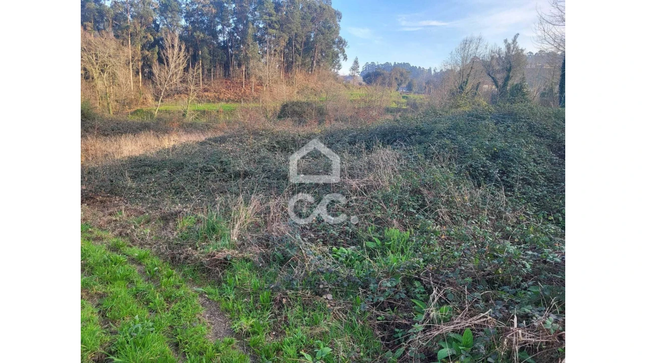 Terreno para Venda em Silvares (São Martinho) Foto 2