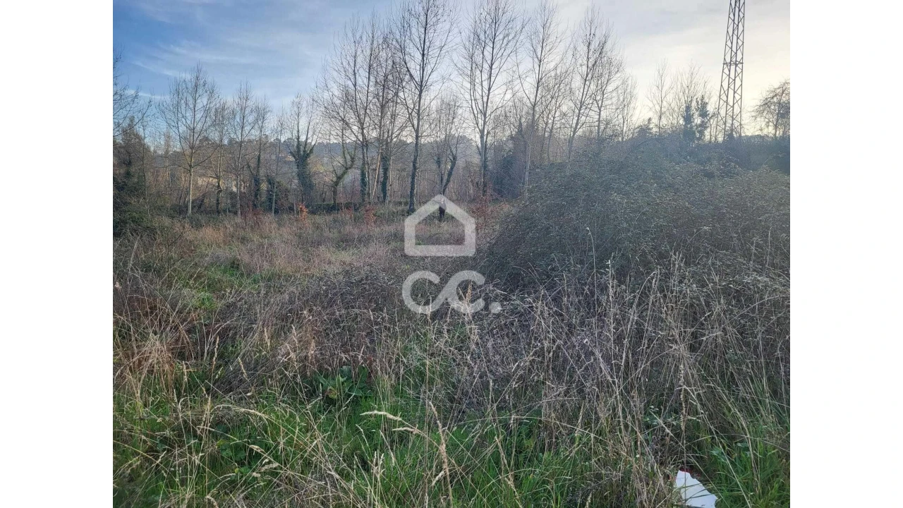 Terreno para Venda em Silvares (São Martinho) Foto 15