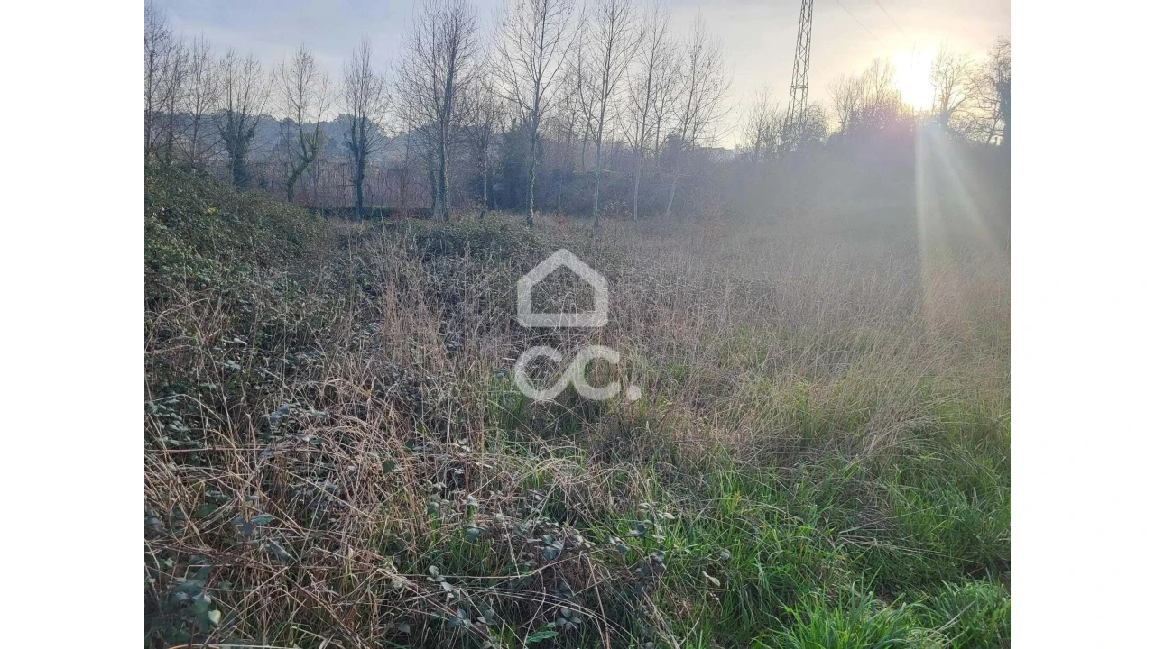 Terreno para Venda em Silvares (São Martinho) Foto 14