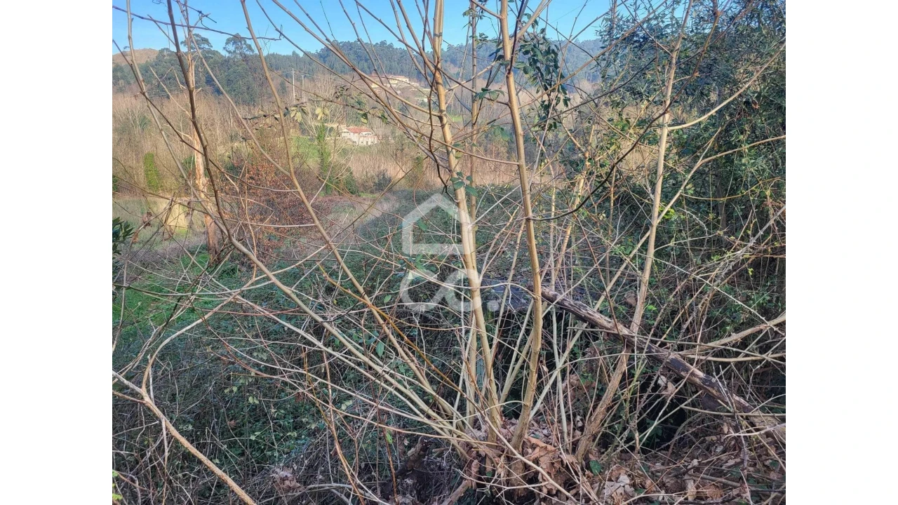 Terreno para Venda em Silvares (São Martinho) Foto 22