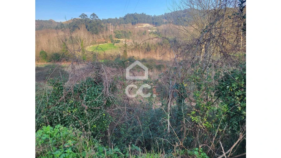 Terreno para Venda em Silvares (São Martinho) Foto 19