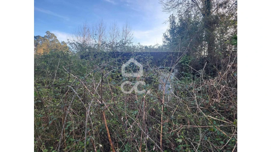 Terreno para Venda em Silvares (São Martinho) Foto 18