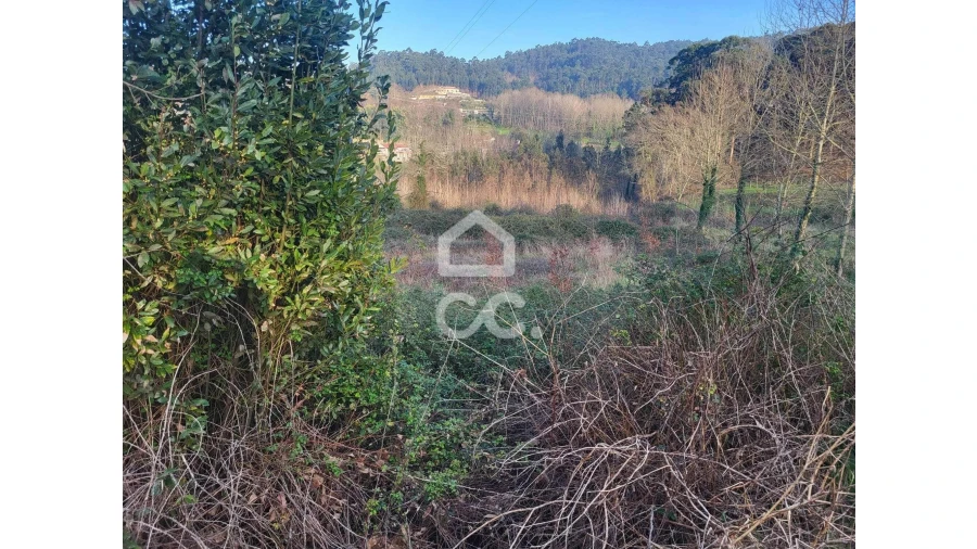 Terreno para Venda em Silvares (São Martinho) Foto 21