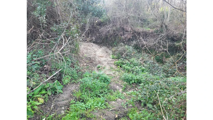 Terreno para Venda em Silvares (São Martinho) Foto 17