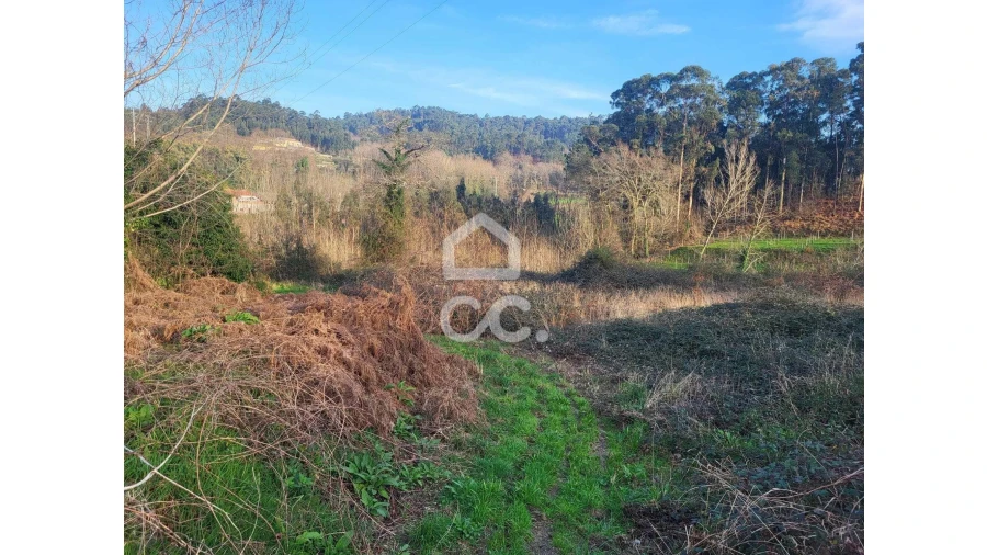 Terreno para Venda em Silvares (São Martinho) Foto 3