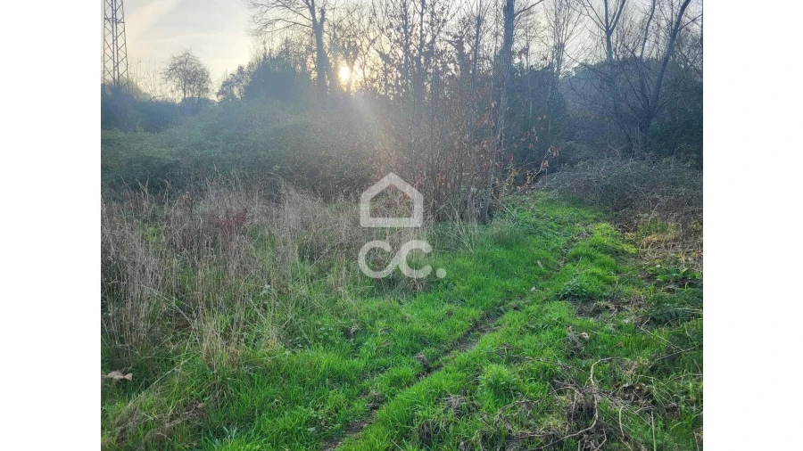 Terreno para Venda em Silvares (São Martinho) Foto 6