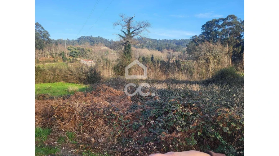 Terreno para Venda em Silvares (São Martinho) Foto 11