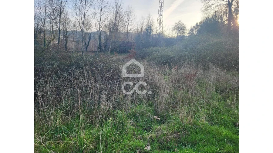 Terreno para Venda em Silvares (São Martinho) Foto 7