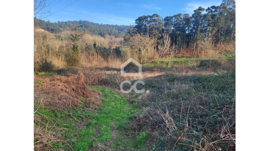 Terreno para Venda em Silvares (São Martinho) Foto 12