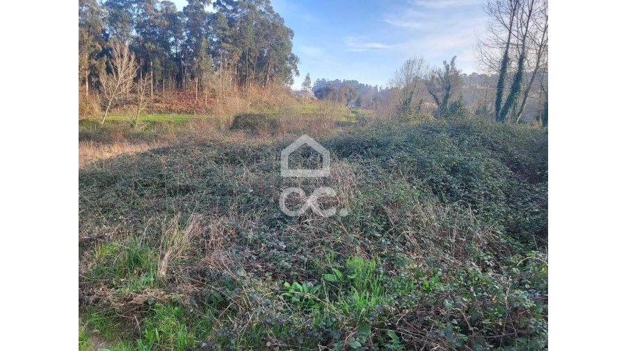 Terreno para Venda em Silvares (São Martinho) Foto 10