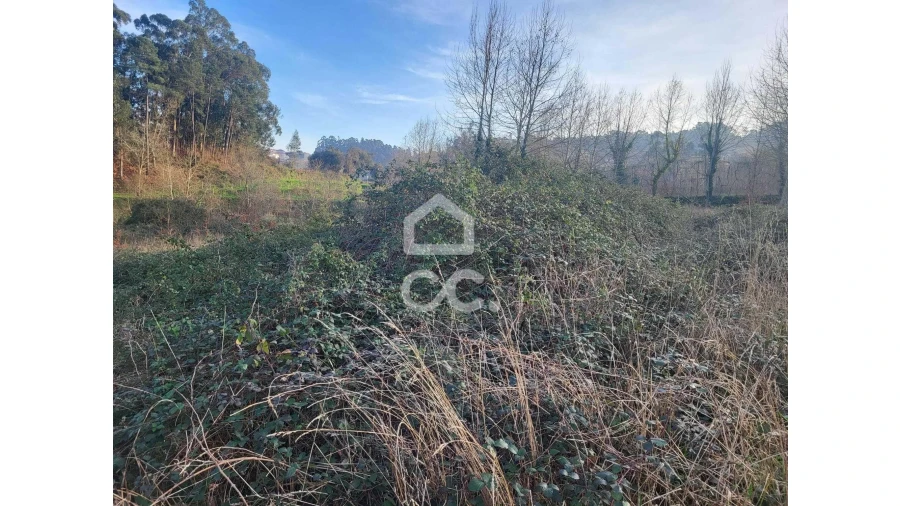 Terreno para Venda em Silvares (São Martinho) Foto 13