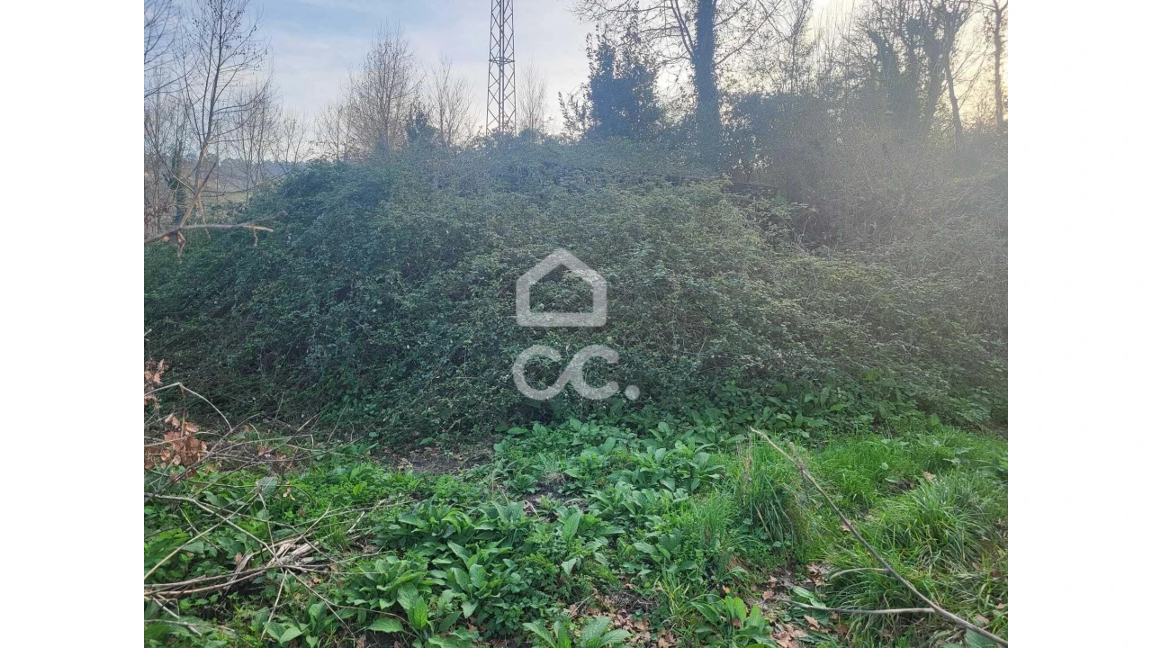 Terreno para Venda em Silvares (São Martinho) Foto 4