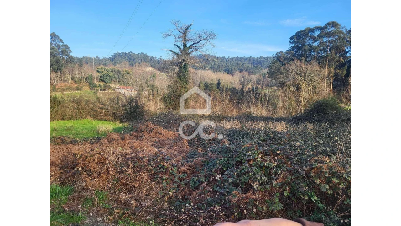 Terreno para Venda em Silvares (São Martinho) Foto 11