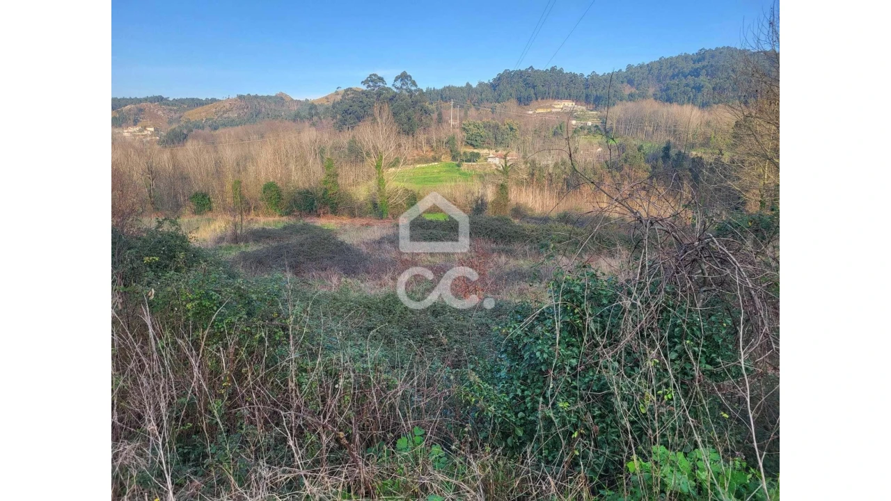 Terreno para Venda em Silvares (São Martinho) Foto 20