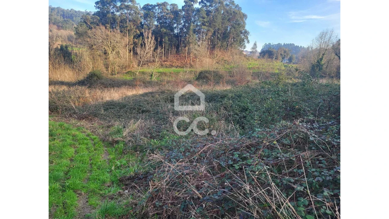 Terreno para Venda em Silvares (São Martinho) Foto 1