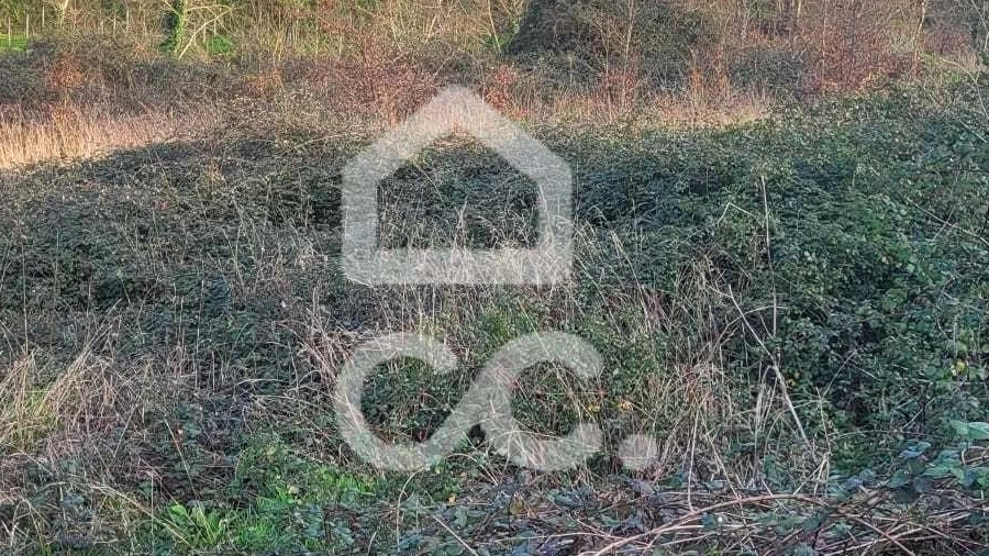 Terreno para Venda em Silvares (São Martinho)