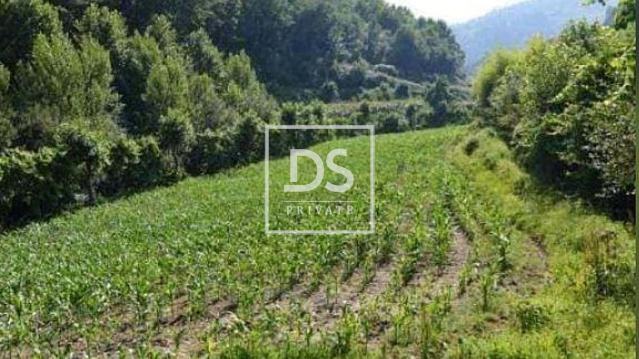 Quinta T4 para Venda em Britelo, Gémeos e Ourilhe Foto 29