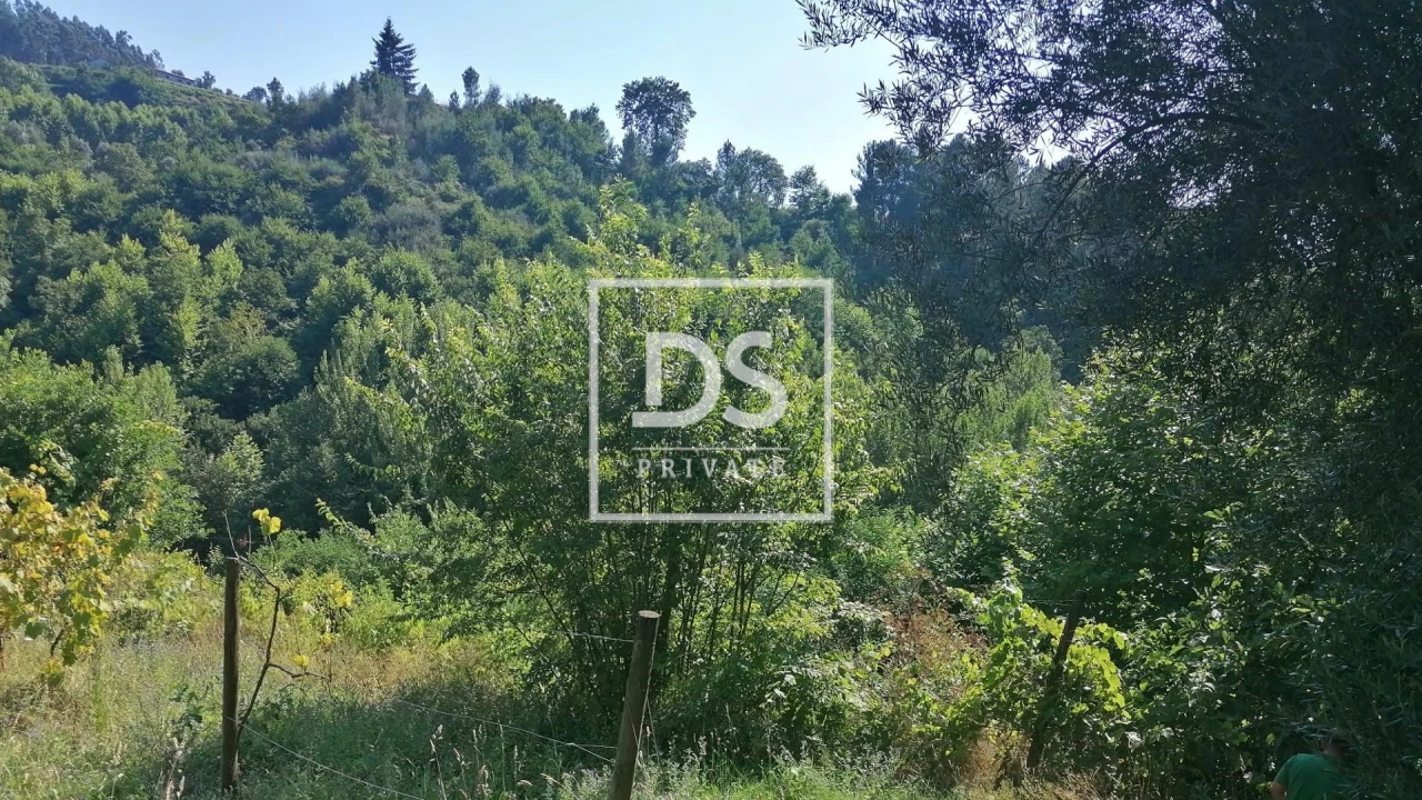 Quinta T4 para Venda em Britelo, Gémeos e Ourilhe Foto 13