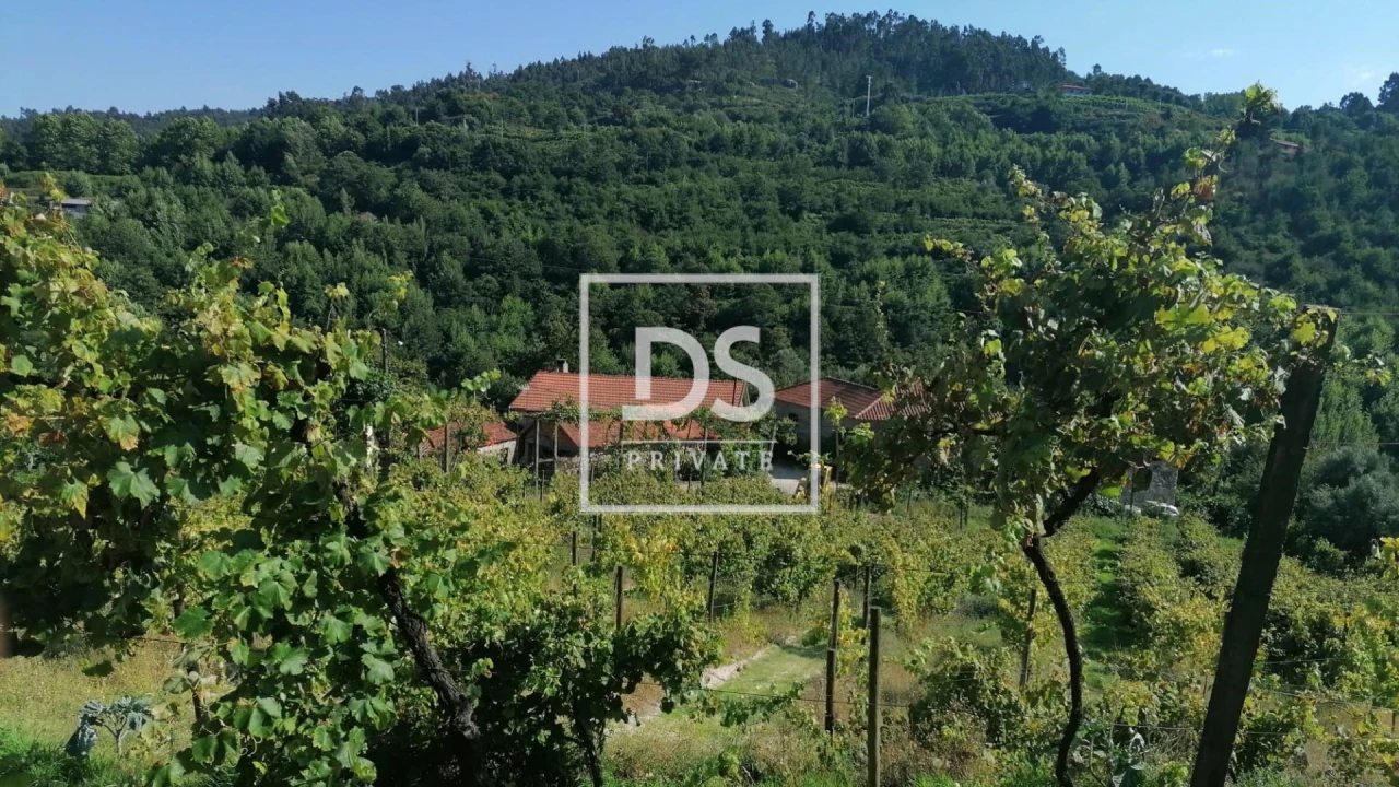 Quinta T4 para Venda em Britelo, Gémeos e Ourilhe Foto 27