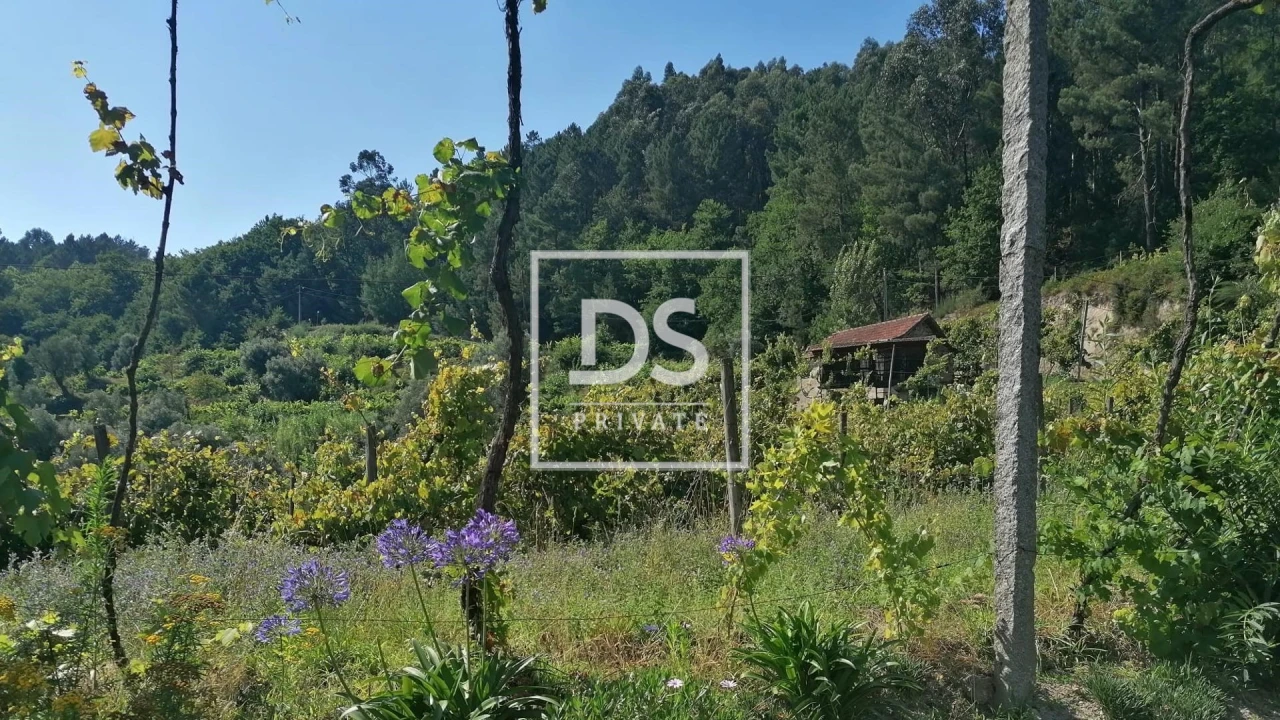 Quinta T4 para Venda em Britelo, Gémeos e Ourilhe Foto 9