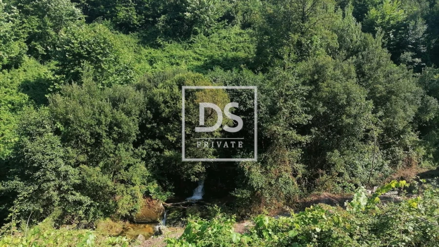 Quinta T4 para Venda em Britelo, Gémeos e Ourilhe Foto 20