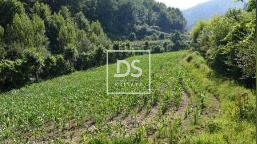 Quinta T4 para Venda em Britelo, Gémeos e Ourilhe Foto 29