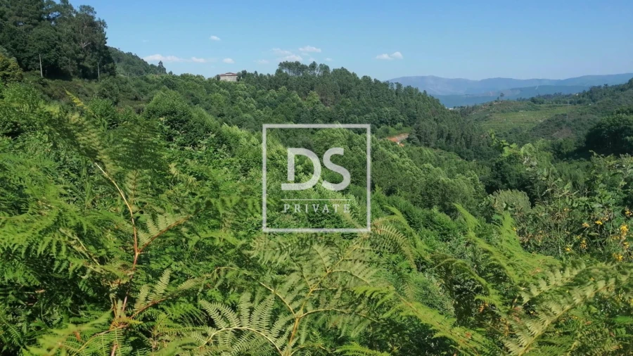 Quinta T4 para Venda em Britelo, Gémeos e Ourilhe Foto 22