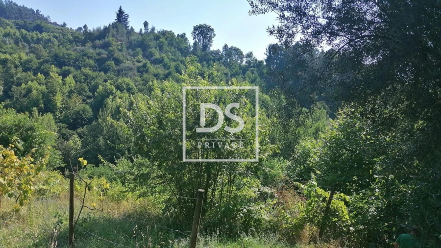 Quinta T4 para Venda em Britelo, Gémeos e Ourilhe Foto 13