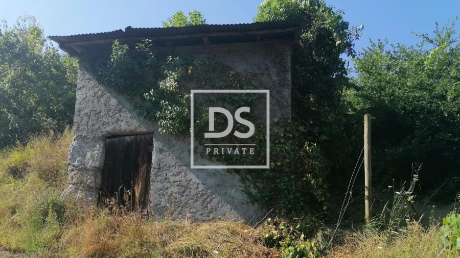 Quinta T4 para Venda em Britelo, Gémeos e Ourilhe Foto 7