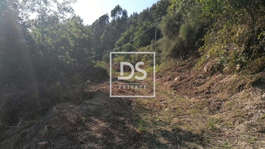 Quinta T4 para Venda em Britelo, Gémeos e Ourilhe Foto 21